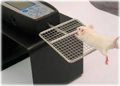 8. 근기능시험장비기타장비 Grip strength system 장비개요 : 쥐의앞다리또는뒷다리로망을잡고버티는힘을측정하는근력측정장치
