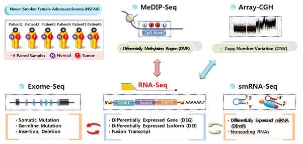 hsa-mir-96 3.11E-06 2.64 6 6+ hsa-mir-30c-2* 1.24E-04-2.30 5 5- hsa-mir-127-3p 4.52E-04 2.14 6 6+ hsa-mir-126 9.23E-07-2.79 6 6- hsa-mir-134 1.55E-04 2.31 6 5+ hsa-mir-126* 2.79E-04-2.