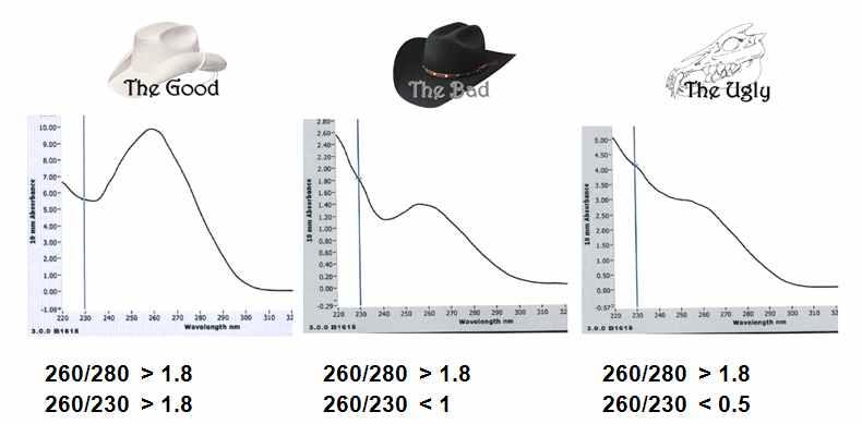 - 준비된 Flow cell 은 24 시간이내에 Illumina Genome Analyzer GAIIx 에 장착하고 Illumina 36 Cycle Sequencing Kit v3 를이용하여 Sequencing reagent