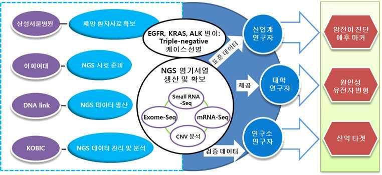 5) NGS 플랫폼관련폐암유전체표준염기서열데이터정리 NGS 플랫폼에서생산된검증된염기서열정보의통합을통해암유전체염 기서열의표준데이터를정리하고제시함. Exome-Seq, mrna-seq, small RNA-Seq 에서나온 NGS 염기서열및 ArrayCGH 데이터에대하여다음의엄격한검증작업을수행함. 자체염기서열품질을엄격히확인함.