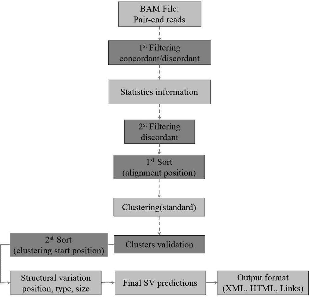 [ 그림 29] Structural variations 검출및분석 pipeline Map과 shuffle 분석단계를통해구조적변이로분류되었던서열을대상으로참조유전체내에비슷한위치에매핑된구조적변이서열을하나의그룹으로군집 (clustering) 하는데군집을형성하는이유는하나의리드가매핑되고정의된