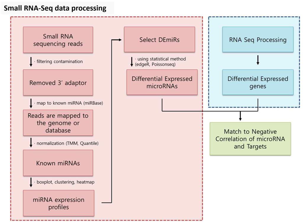 [ 그림 32] mirna-seq 데이터분석을위한파이프라인요약도 (2) 연구활용및토의 개발된파이프라인을이용하여 6