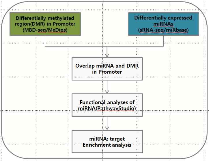 [ 그림 42] 유전자전사체분석과 DNA 메틸화분석의통합분석 workflow 4) 위암줄기세포의 small RNA 분석