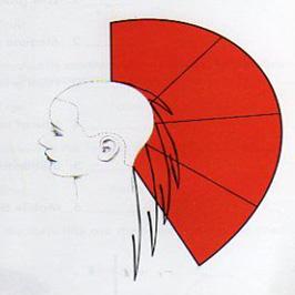 <Figure 2> 그래듀에이션커트도해도 (hair sculpture, 2003) 3 레이어커트 (layer cut) 네이프 (nape) 부분에서탑 (top) 부분으로올라갈수록머리의길이가점점짧아지는형태로커트되어지는단면 90 이상으로단차를구성하며자연스럽고가벼운상태의커트스타일이다. 레이어는머리의중량감을표현하는데적절하다.