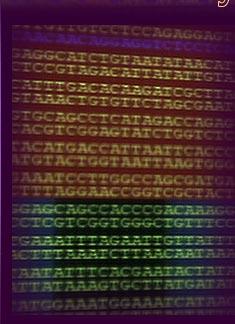 Gene and Genome Chromosome ( 염색체