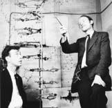 Francis Crick Central Dogma DNA DNA RNA Protein Replication