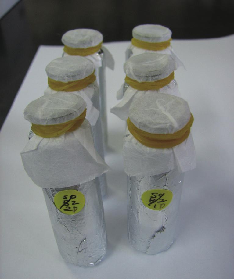 4 Preparation of samples. oil ). 2.5 발아들깨유의자동산화 7g (20ml). ( 4), 60 incubator 4,. 2. 2.6 발아들깨유의산화정도, 토코페롤, 인지질, 폴리페놀함량분석 conjugated dienoic acid (AOCS Ti 1a-64) (AOCS Cd 8-53).