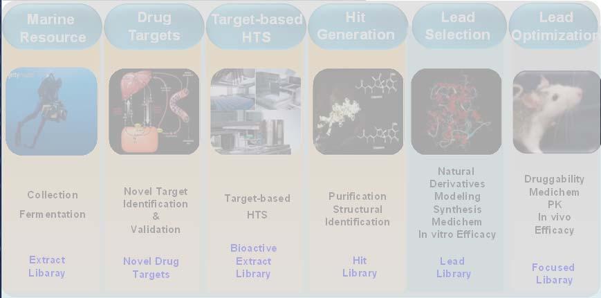 Modeling Synthesis Medichem In vitro Efficacy Druggability Medichem