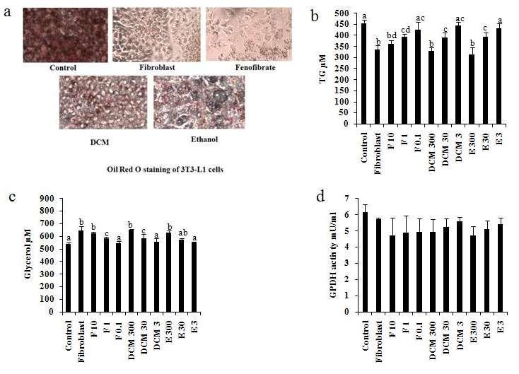 그림 8-1. Effects of 70% ethanol extract from Auricularia auricula-judae (Ethanol/EtOH) and its dichloromethane extract(dcm) on the differentiation and adipogenesis of 3T3-L1 cells.