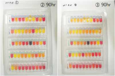 API KIT assay 24hr 배양