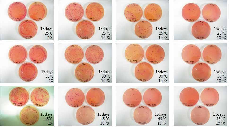 (0 Days) Fig. 22.