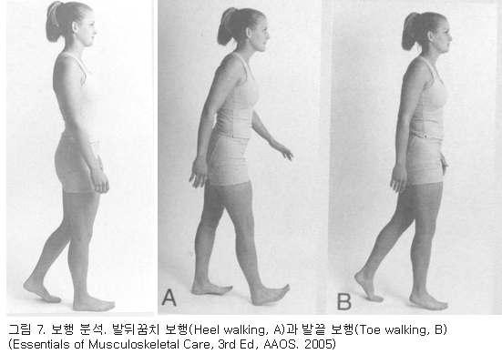 요추부의전방굴곡제한측정 2 개의