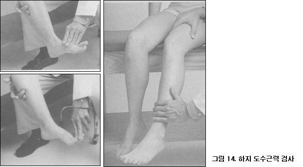 하지도수근력검사 : 족근신전력, 족무지신전력, 슬관절신전력.