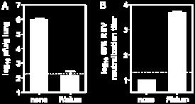 2011; 108(23): 9619-24 RSV F nanoparticle vaccine is currently being evaluated in clinical trials Developed by Novavax Engineered RSV F expressed in baculovirus spontaneously forms