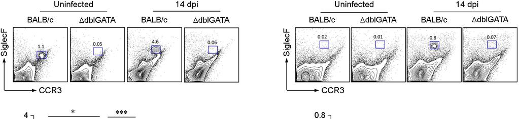 Eosinophils Regulate Type 2 Immune Responses Following Infection with the Nematode Trichinella spiralis 297 적혈구를제거하였다. 분리된세포를항마우스 CD16/ CD32 (2.