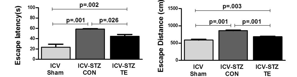102 트레드밀운동이 ICV-STZ 처치흰쥐의뇌인슐린신호전달, 포도당대사및 Tau 단백질과인산화에미치는영향 로나타내었다. 이연구에서사용한 Western blot 용 1차항 체는 <Table 1> 에제시하였다. Table 1. Pr