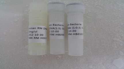 Human RM DNA Bacteria DNA (1:5) Bacteria DNA (1:0.