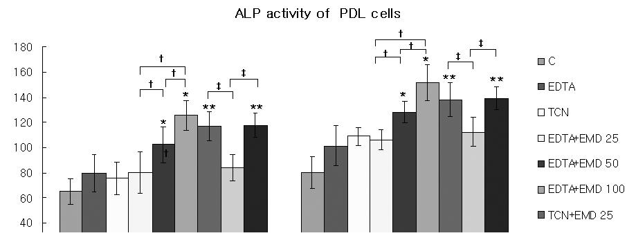 J Korean Acad Periodontol 2008;38(4) 법랑기질유도체가탈회치근표면에서치주인대섬유아세포의생물학적성상에미치는영향 배양 14일째 EDTA 탈회후 100 ug/ml 농도및 50 ug/ml 농도의 EMD 에배양한군에서 25 ug/ml 농도의 EMD 에배양한군에비해통계학적으로유의성있는세포증식이관찰되었고, TCN 처리후 100 ug/ml