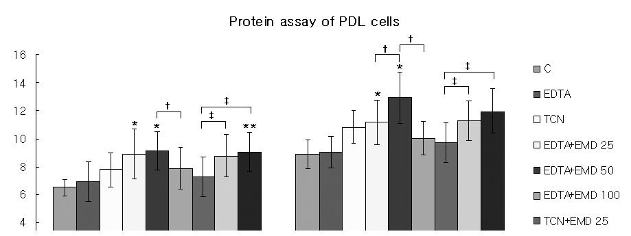 이강운, 김태일, 설양조, 이용무 대한치주과학회지 2008 년 38 권 4 호 3. 단백질양의측정배양 7일및 14일모두 EDTA 처리후 25 ug/ml 및 50 ug/ml 농도의 EMD 에배양한군에서 EDTA 로탈회만시킨군에비해통계학적으로유의성있는단백질합성이관찰되었다 (p<0.05).