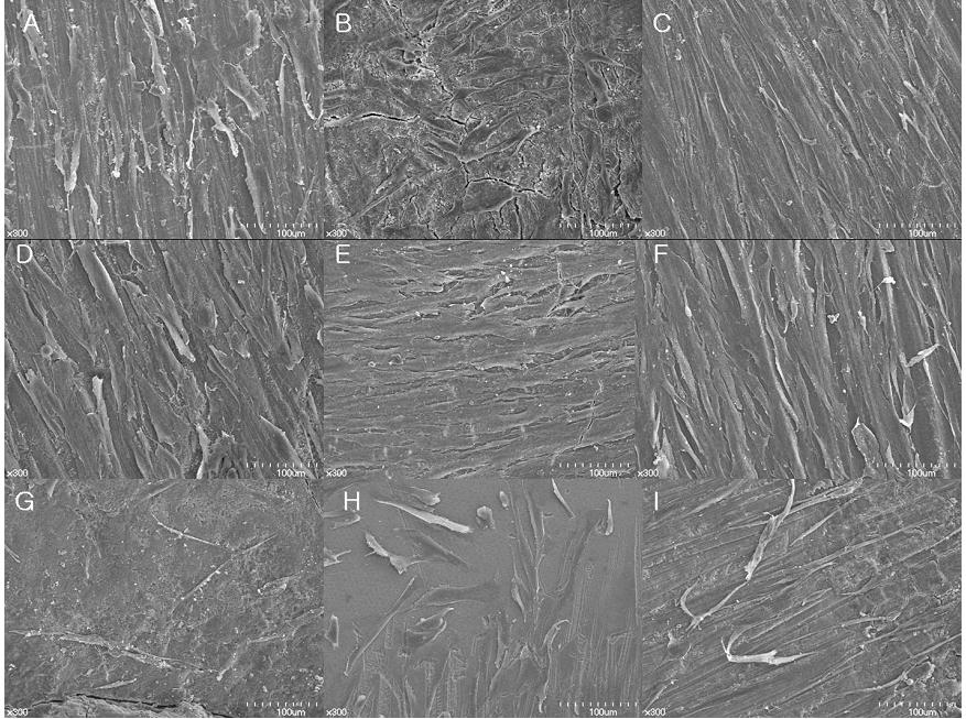 J Korean Acad Periodontol 2008;38(4) 4.