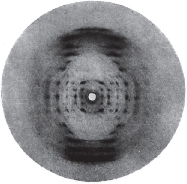 Franklin and Wilkins: X-ray diffraction of DNA