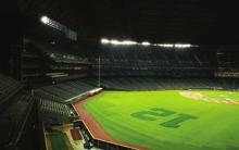 Yankees_MLB Baseball Stadium MLB