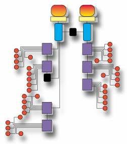 디바이스네트워킹기술의조건 지능분산제어 (Distributed intelligence) 센서 / 액츄에이터레벨의컴퓨팅과네트워킹 프로토콜, peer-to-peer가가능한통신방식 디바이스네트워킹에맞는프로토콜 신뢰성있는물리적통신및네트워크구성 EMI and EMC (1000-4-2/3/4/5/6/ at