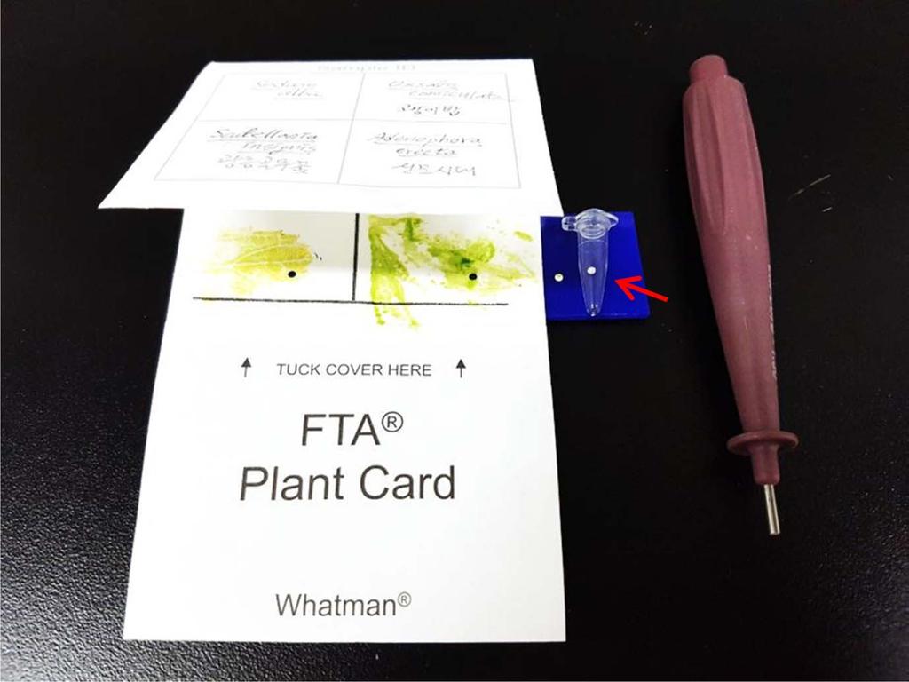 DNA 보존을위한 FTA 카드의관속식물분류군별적용성조사 95 Figure 1. The FTA Plant card and punching tool. Plant leaves are squashed on the card and DNA is preserved in the card at room temperature.