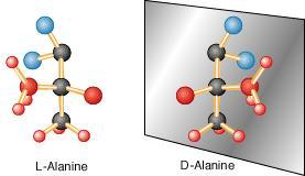 아미노산은입체이성질체 (stereoisomer) 를갖는다 원자의공간상배열의차이 다른분자 입체이성질체 (stereoisomer = optical isomer = enantiomer) 이런성질을손대칭 ( 키랄성 ) 이라한다