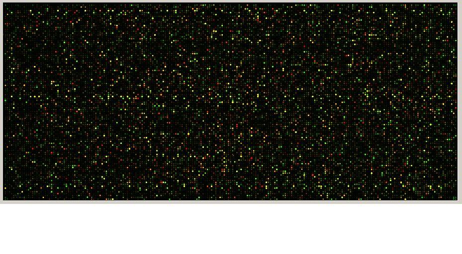 Microarray 대용량의 hybridization 결과를볼수있는것이 microarray technique 이다.