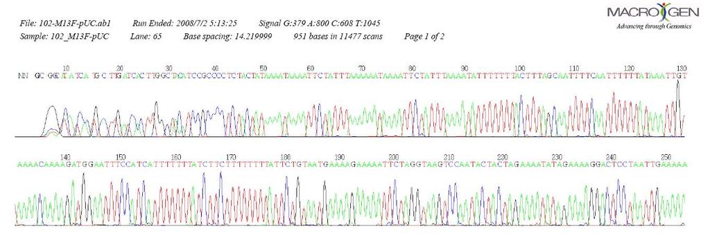 현대적 Sanger sequencing