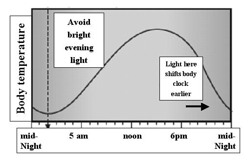 이론적으로는광치료를통해생체시계를하루에 2시간정도지연시키거나앞당길수있다고하지만, 실제환자들에게광치료를시행할때는 30분-1시간간격으로하여일주일정도지속할것을추천한다. 일주일의광치료후환자가새로운수면-기상시간표에적응을하게되면그이후 1-2 주간은광치료시간을 30분에서 15-20 분으로줄일수있다.