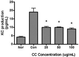 CC : Water extract of Coptis chinensis rhizome. Cells were incubated 3) VEGF 생성에대한영향 LPS로유발된마우스대식세포의 VEGF 생성에미치는 CC의영향을비교하였다.