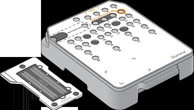 시퀀싱작업흐름 Illumina BaseSpace 또는