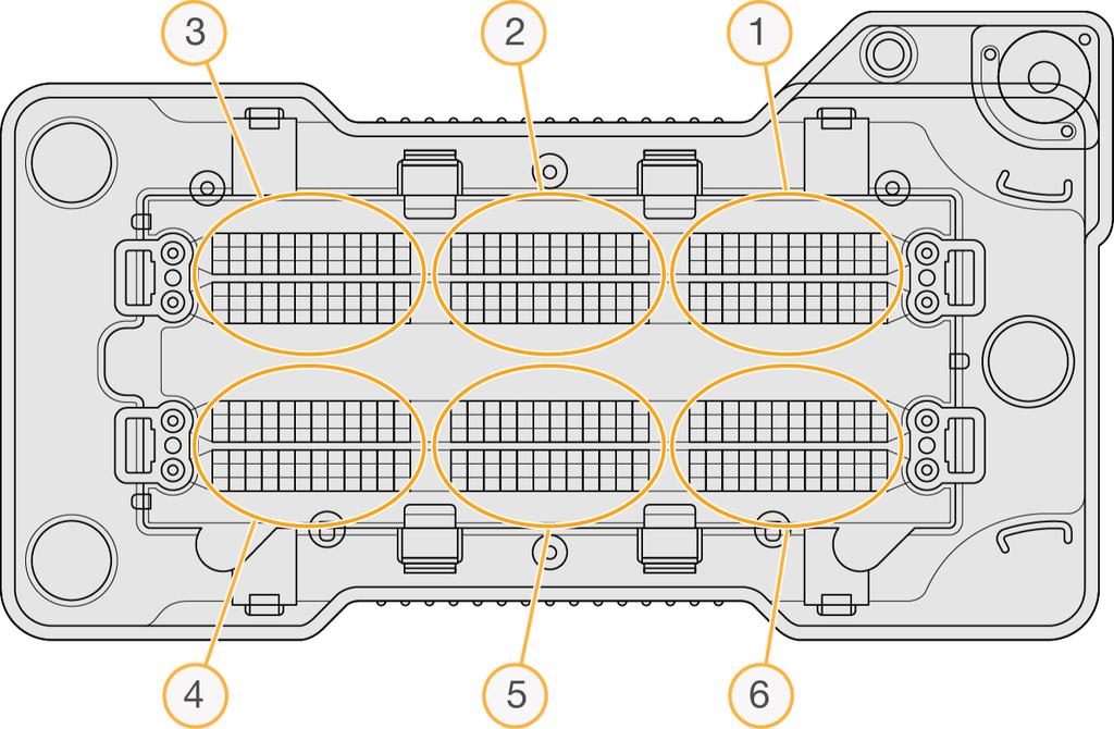 그림 25 스와스 (Swath) 번호매기기 플로우셀타일 카메라번호매기기 NextSeq 500 에서는카메라 6