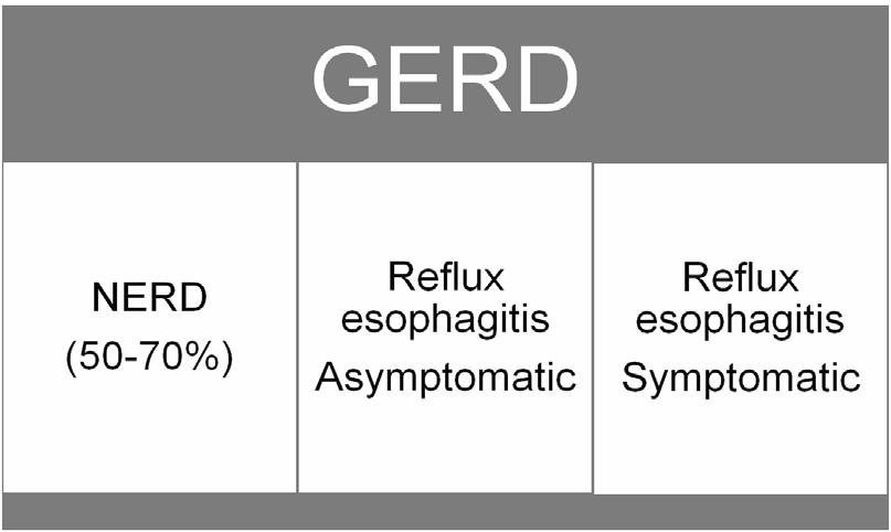 2006;101:1900-1920 Functional Dyspepsia The