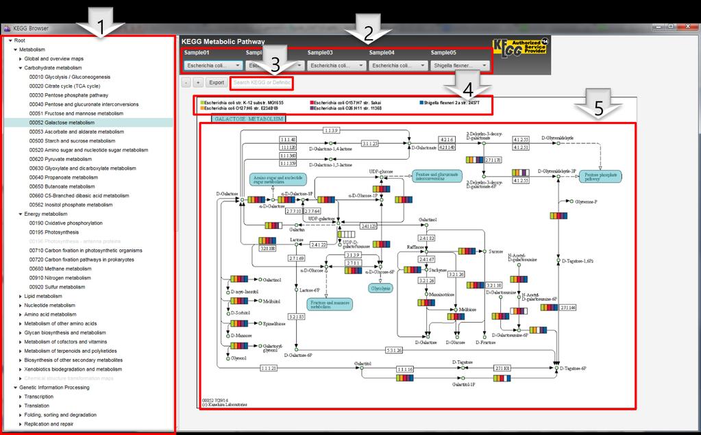 K231 CLgenomics User Manual (App version 1.51) Jun 2017 Figure 22. Pathway viewer 모습. 2번 panel 에서 살펴볼 strain을 selection 하고 1번 panel 에서 kegg pathway 를 selection 하면 5번 panel 에 상세한 정보가 나타납니다.