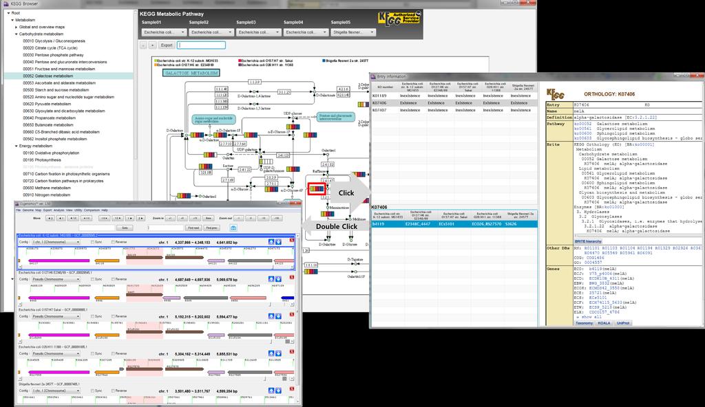 K231 CLgenomics User Manual (App version 1.51) Jun 2017 Figure 23. Pathway viewer 에서 유전자의 상세 정보창의 모습. Pathway viewer 에서 유전자를 클릭시 상세정보창이 나타나고, KEGG list 중에 하나를 클릭하면 관련된 유전자 list가 왼쪽 하단창에 나타나게 됩니다.