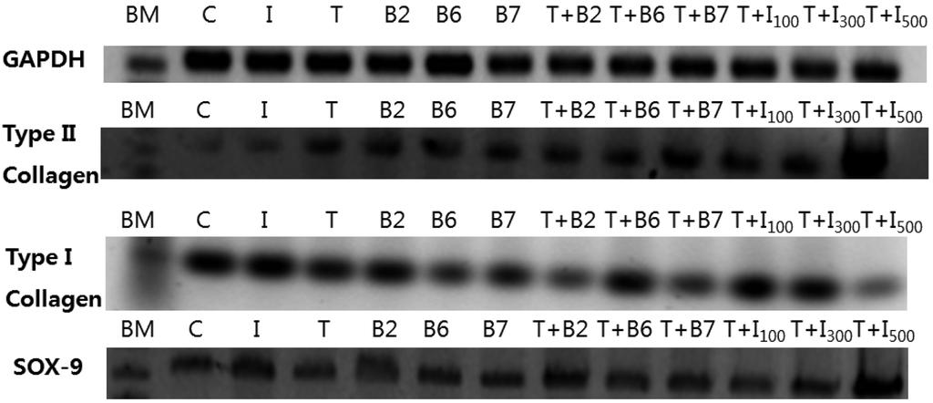 80 임군일 Figure 3.