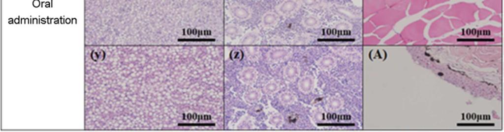 3-9) 15 mg kg -1 실험구에서는 1일차 (Fig.