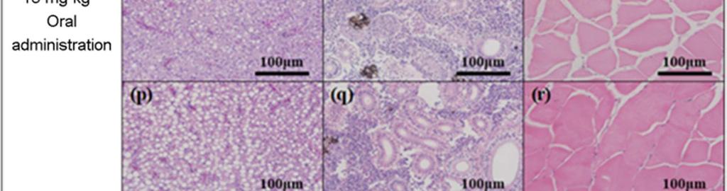 Tiamulin injection for the treatment of swine dysentery. Vet Record 113: 236-237. Doménech A, Fernández-Garayzábal JF, Pascual C, Garcia JA, Cutuli MT, Moreno MA, Collins MD, Dominguez L. 1996.