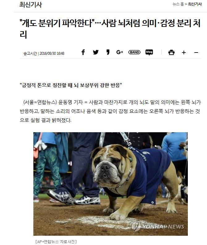 감정의역할 (4/4) 사회적인기능 : 의사소통 - 자신의내부상태를드러내는통신수단 ( 상호작용관점 ) - 사회적인관계를증진시키는기능 공감,