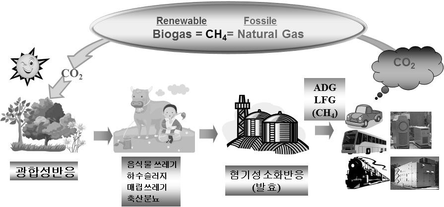 136 Fig. 1 Biogas Production and Utilization Table 1 Power Generation Fuel Requirements 11) Item Reciprocating Engine Turbine Microturbine Stirling Engine Fuel Cell Input pressure (psig).