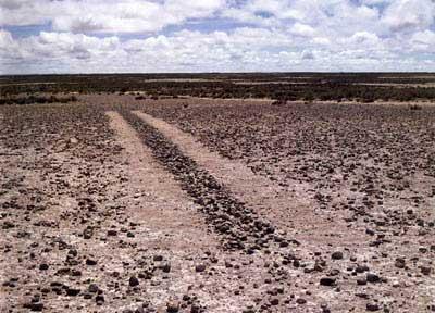 A Line in Bolivia 1981 Richard Long (1945~ ) 영국의조각가,