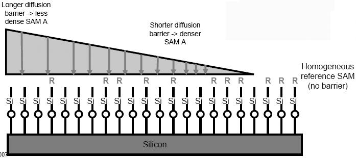 9 Longer diffusion barrier->less dense SAM A Shorter diffusion barrier->denser SAM A Homogeneous reference SAM (no barrier) superhydrophobic sticky region Silicon 그림 5.
