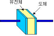 A의자유전자는전지의양극에끌려이동하여극판 A 는양으로대전한다이 A 의양전하때문에정전유도에의해극판