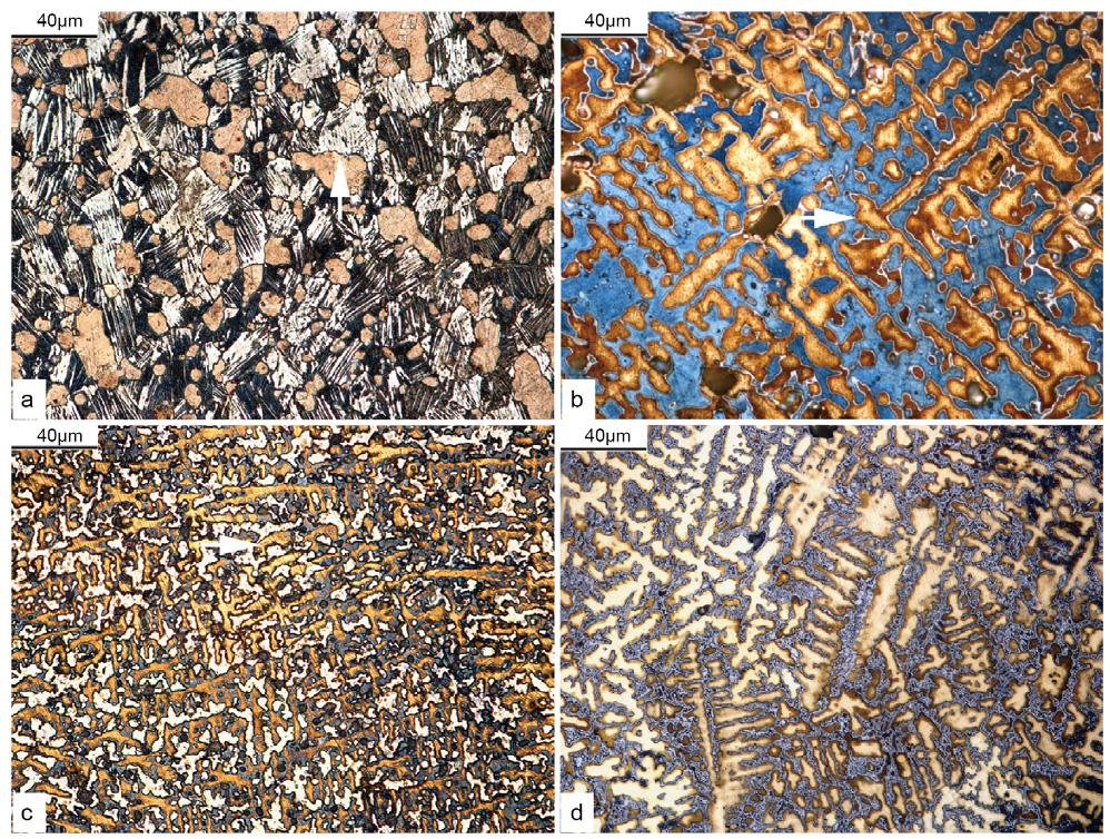 박 장 식 주 진 옥 Fig. 3. Optical micrographs. (a)-(d) Microstructure observed in objects #1-4 in Fig. 2, respectively. 필요한 기본 요건을 갖춘 것으로 볼 수 있다. 3번과 4번과 5 747 Fig. 4. Secondary electron micrographs.