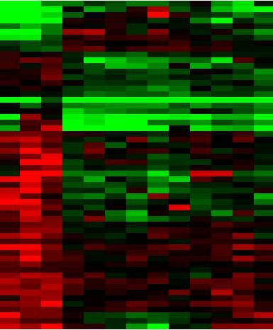 C 58 genes 2.5 2.0 log 10 IC 50 1.