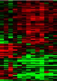 0 log 10 Cmax 0.5 0.0 H 90 genes 0.