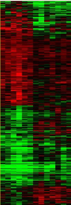 K 657 genes 1.5 1.0 log 10 IC 50 0.